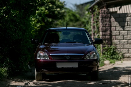 Автовласники і їх «вихованці»