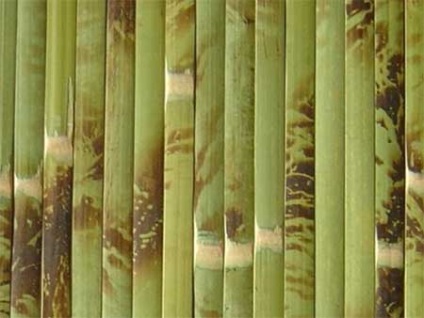 Selecția tapetului bambus și lipirea