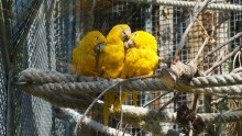 Parcul Barcelonei din cetate și grădina zoologică