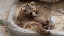 Parcul Barcelonei din cetate și grădina zoologică