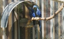 Parcul Barcelonei din cetate și grădina zoologică