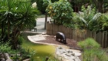 Parcul Barcelonei din cetate și grădina zoologică