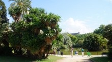 Parcul Barcelonei din cetate și grădina zoologică