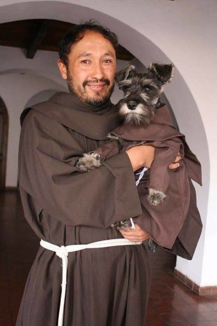 Un câine fără adăpost a găsit această mănăstire la distanță pentru a putea