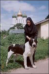 Bi-bi-si, Oroszország és világos lakhelye az Wolfhounds