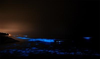 Bioluminescența (strălucirea apelor) a insulei Wadhu pe Maldive