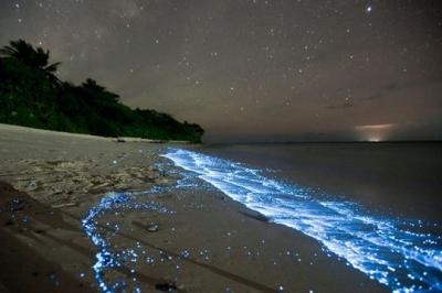 Bioluminescența (strălucirea apelor) a insulei Wadhu pe Maldive