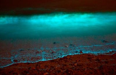 Bioluminescența (strălucirea apelor) a insulei Wadhu pe Maldive