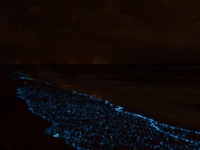 Bioluminescența (strălucirea apelor) a insulei Wadhu pe Maldive