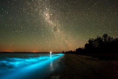 Bioluminescența (strălucirea apelor) a insulei Wadhu pe Maldive