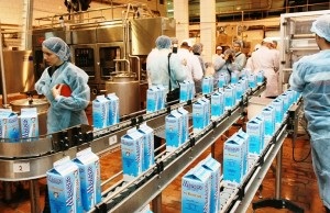 Бізнес-план виробництва питного молока