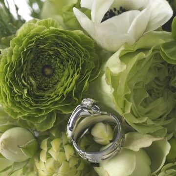 Букети нареченої з зеленими квітами, з яких рослин краще