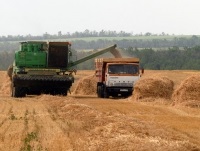 Apoi vom hrăni țara întreprinderile agricole sunt în declin, bani, argumente și fapte