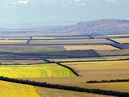 Чим будемо годувати країну сільгосппідприємства занепадають, гроші, аргументи і факти