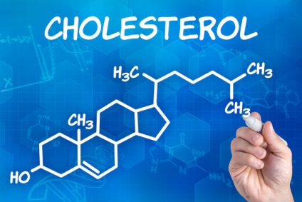 Що потрібно знати про холестерин, lookbio журнал для тих, хто шукає bio