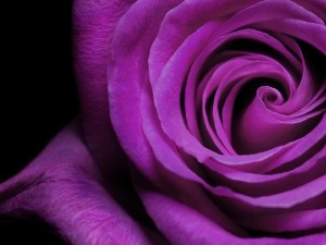 Ce înseamnă culoarea violet?