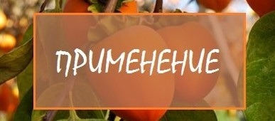 Що таке хурма, користь і шкода для організму, опис і характеристика домашніх сортів хурми