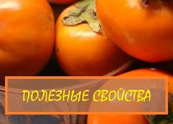 Ce este curmala, beneficiile și răul organismului, descrierea și caracterizarea soiurilor domestice de persimmons