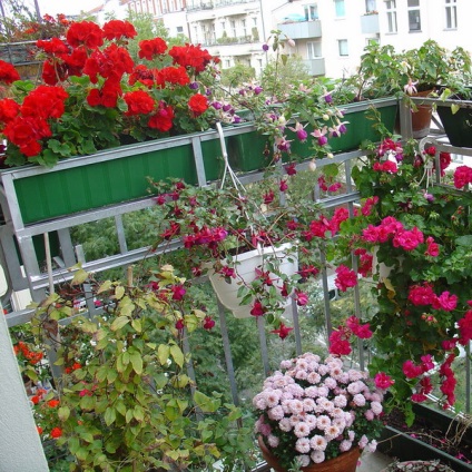 Virágok az erkélyen egy luxus kollekció kiváló ötletek, 1. rész
