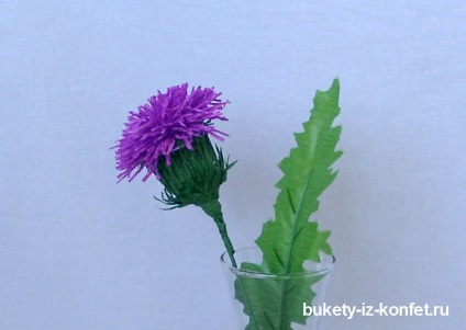 Thistle floare cum să faci o floare de ciulin cu mâinile tale