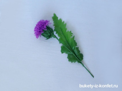 Thistle floare cum să faci o floare de ciulin cu mâinile tale