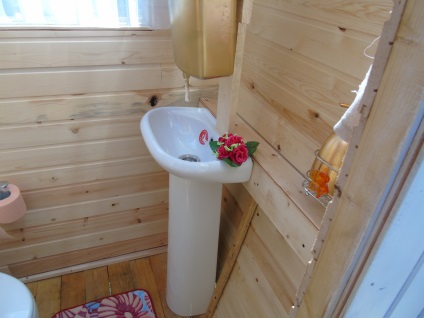 Дачний туалет у вигляді карети (diy)
