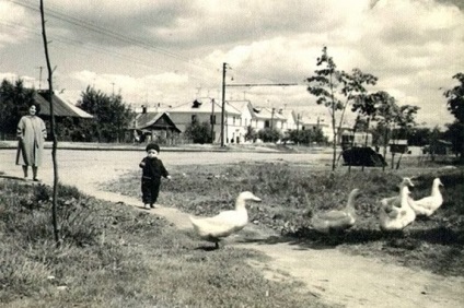 Rural Moscova anii 50 - 60 ai secolului xx (36 fotografii) - Trinity