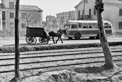 Rural Moscova anii 50 - 60 ai secolului xx (36 fotografii) - Trinity