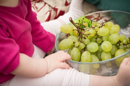 Nutriție pediatrică