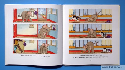 Cărți pentru pisici și sigilii, așa cum ar trebui