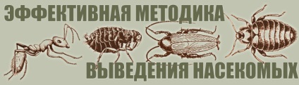 Дезінфікуючі засоби, як правильно зберігати і використовувати на підприємстві