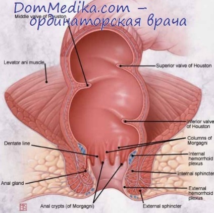 Diagnosticul cancerului de prostată