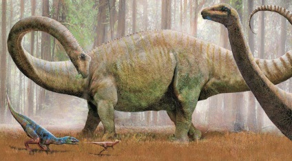 Diplodocus, lumea animalelor și plantelor