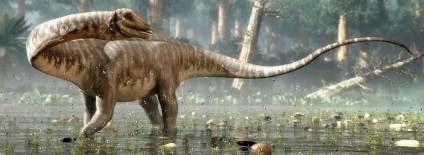 Diplodocus, lumea animalelor și plantelor