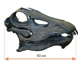 Диплодок - травоїдний динозавр