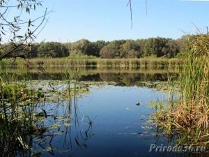 Доповідь - озера, ставки і водосховища воронезької області