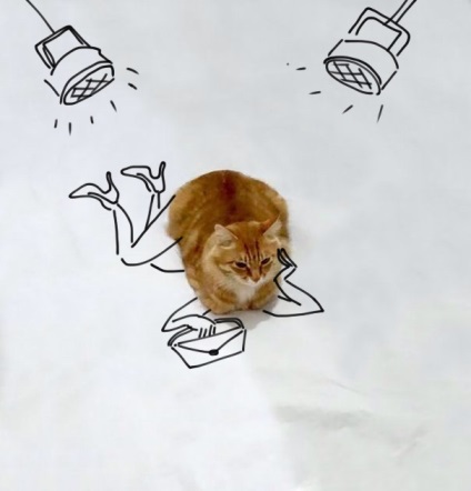 Dorisuy o serie de pisici amuzante despre aventurile unei pisici rosii