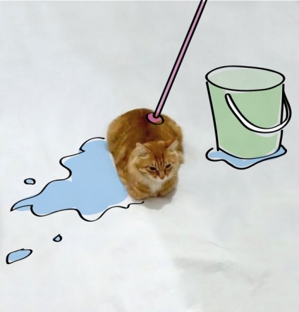 Pisica Dorisuy pe Internet câștigă un test nou pentru creativitate (21 fotografii)