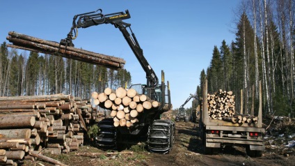 Ajtók tölgyfából készült belső és külső, a belső képek