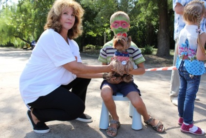 Singurul câine din Crimeea, un terapeut, este capabil să întindă laba de ajutor