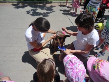 Csak a Krímben kutya terapeuta képes hitelezni a mancs támogatás