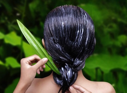 Ефірна олія пачулі для волосся відгуки та застосування
