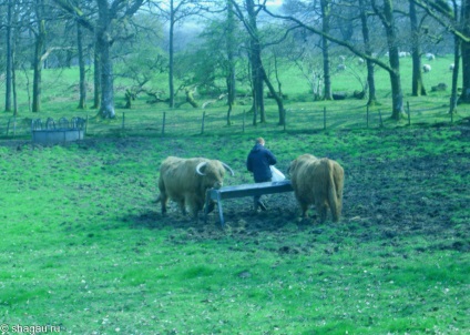 Excursie la parcul național Troussax din Scoția