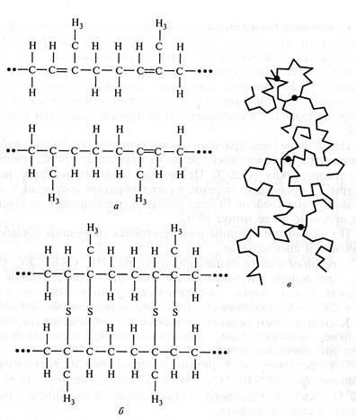 Elastomeri (cauciuc), cauciuc - stadopedie