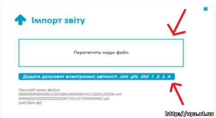 Programe electronice de raportare pentru free - edzv atsk