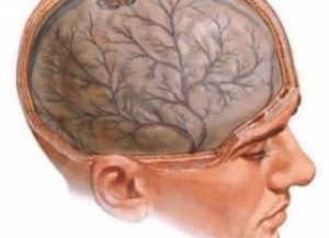 Brain encefalopatia tratament - helfine medicale