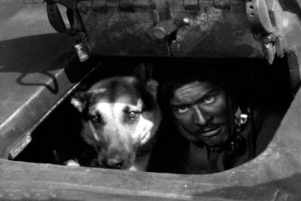 Filmul - patru tancuri și un câine