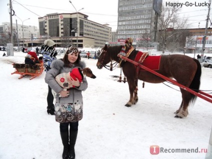 Фокстер'єр гладкошерстий - «· 0 • ● ♥ ツ ласкаво просимо в фоксомір! ♥ ● • 0 · міфи і правда про фокстер'єра