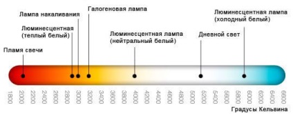 LED-uri