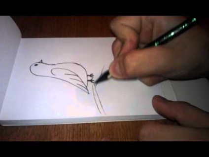 Фото гніздо зозулі як намалювати